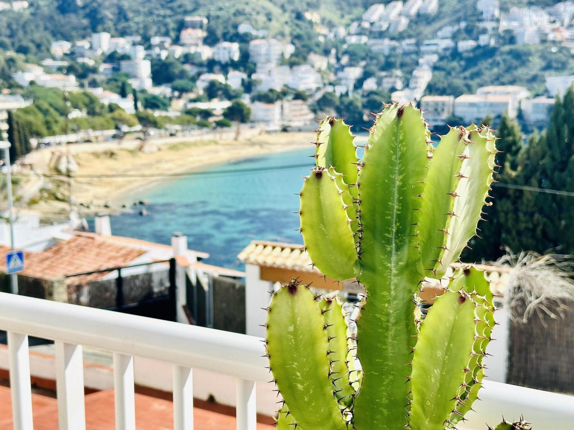 3266 El Sol, 29, Maravillosa Vista Al Mar, Situacion Ideal Senderismo,a 150m De La Playa Y Rocas. - Es-258-36 Apartamento Rosas